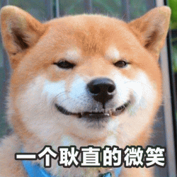 一个耿直的微笑柴犬搞笑表情包