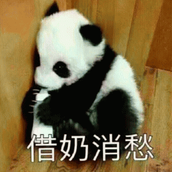 大熊猫表情包搞笑呆萌表情包