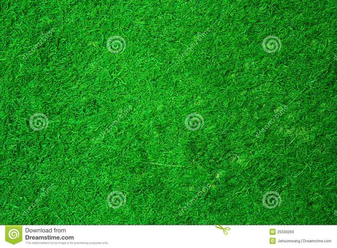 草绿色图片