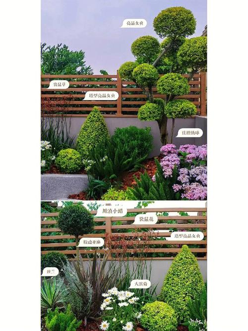 庭院绿植布置效果图