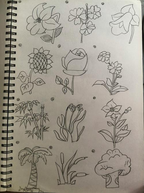 植物图画