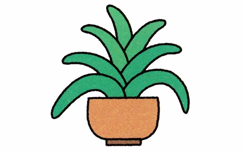 绿色植物简笔画图片