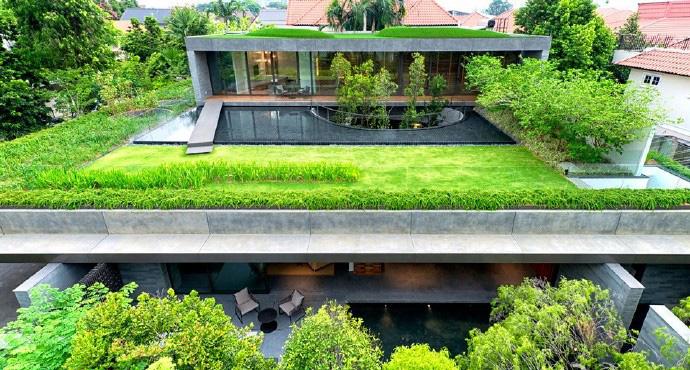 绿色植物屋顶图片