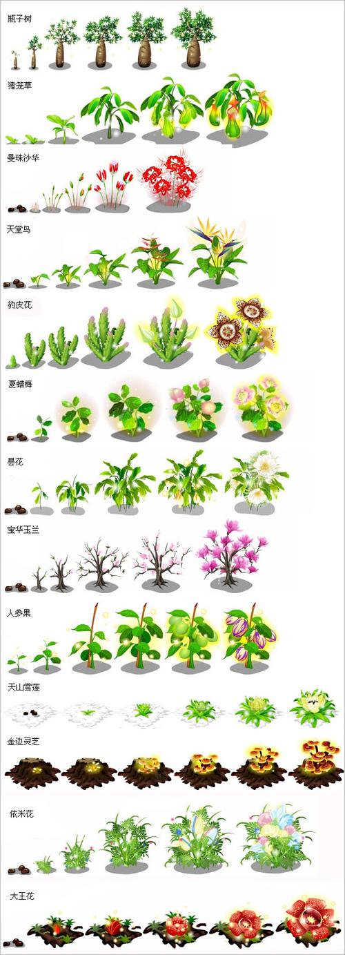 植物变化图片