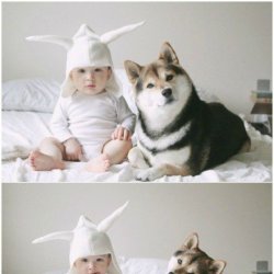 可爱小主子宝宝和狗狗图片